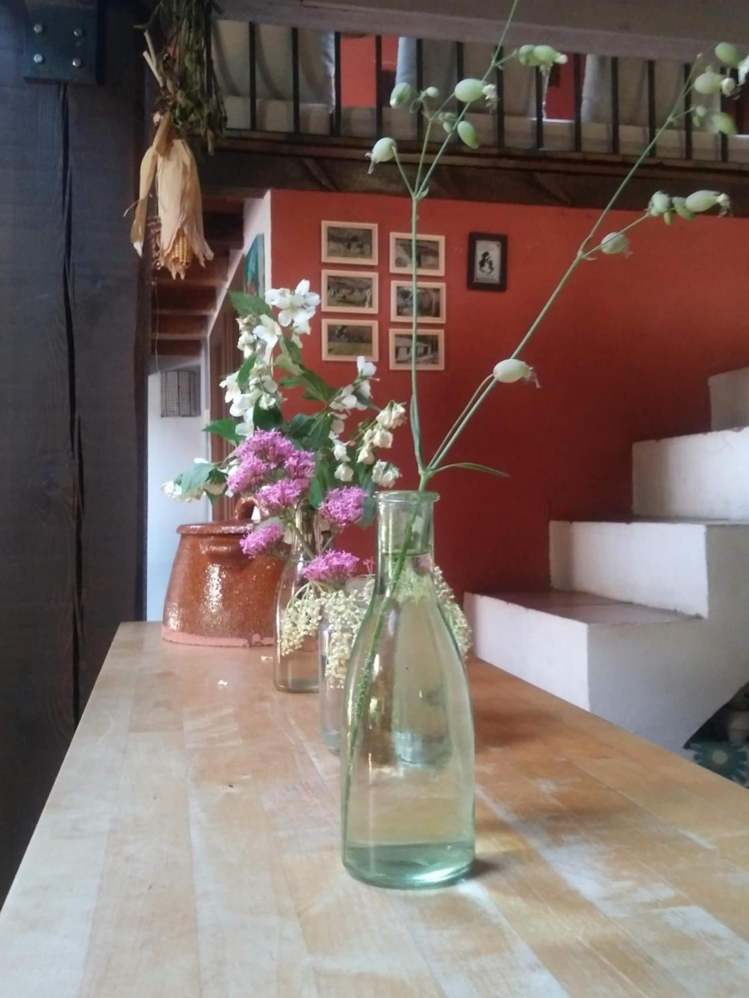 Casa Corazon De Piedra En El Rio Dulce Pensionat Aragosa Exteriör bild